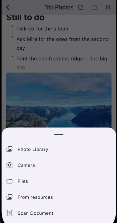 Lyunotes add-resource menu on the smartphone version, showing Photo Library, Camera, Files, From resources, and Scan Document options.